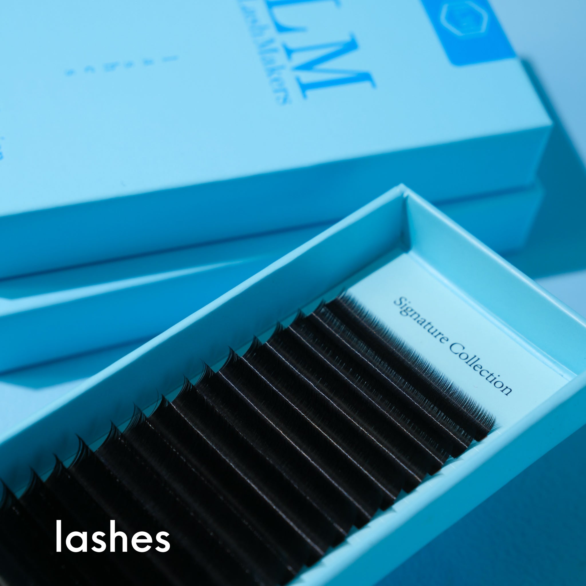 Lashes